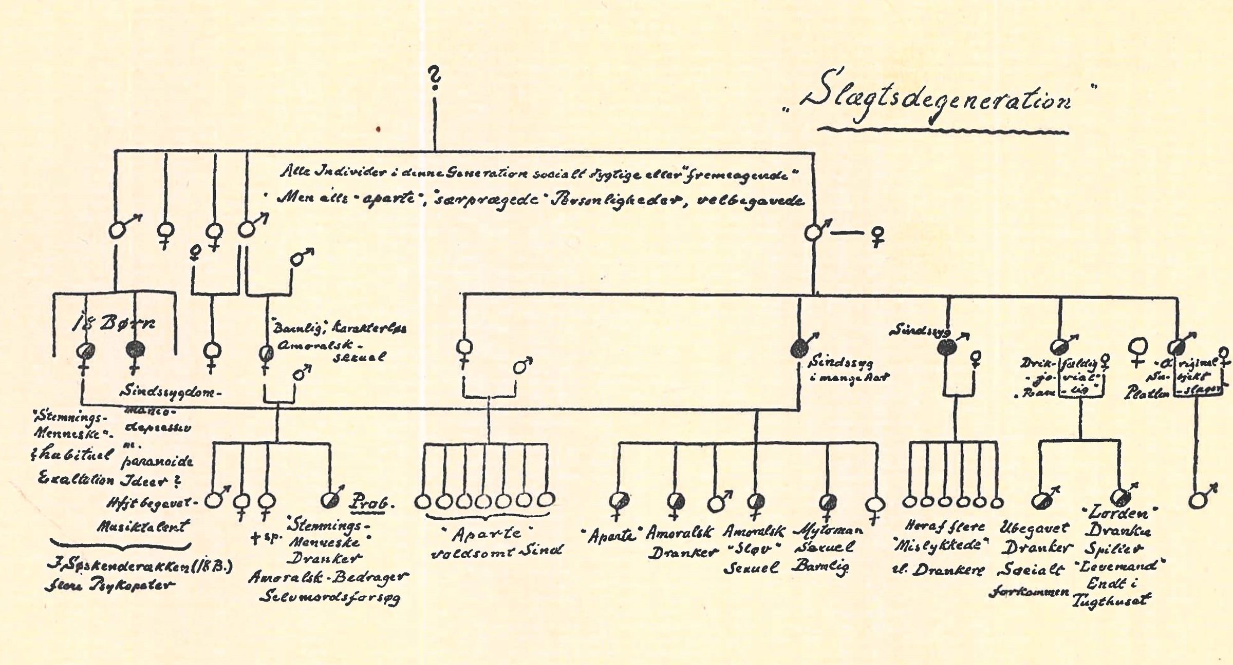 Slægtstavle fra August Wimmers værk 'Sindssygdommenes Arvegang og raceforbedrende Bestræbelser', 1929.